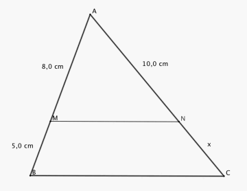 Trekant ABC er delt i to av MN som er parallell med BC. AM er 8,0 cm og MB er 5,0 cm. AN er 10, cm og NC er x.